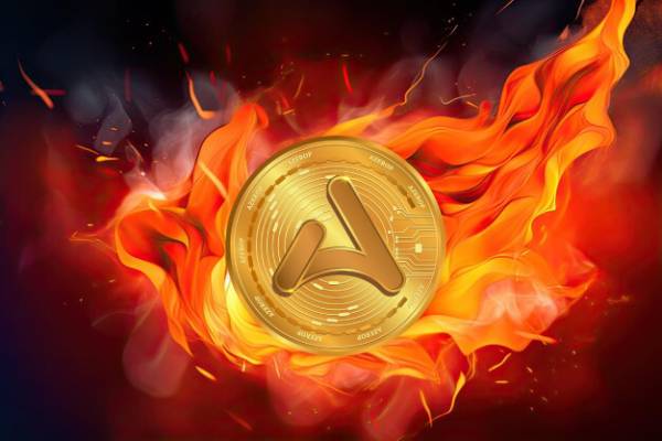 Token-Burning|Azerop-Network